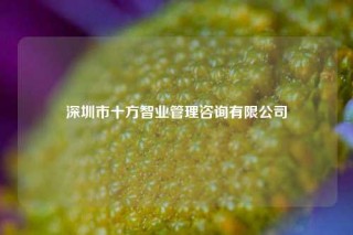 深圳市十方智业管理咨询有限公司