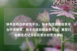 快手在线自助业务平台，快手在线自助业务平台不会掉赞，快手在线自助业务平台，重塑行业新生态亿乐社区低价自营货源站
