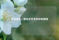 全球连线｜捷克洋学生的中医情缘