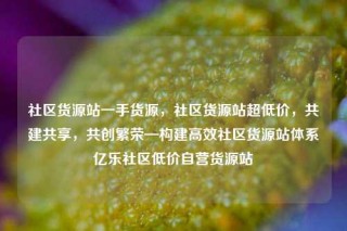 社区货源站一手货源，社区货源站超低价，共建共享，共创繁荣—构建高效社区货源站体系亿乐社区低价自营货源站