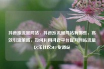 抖音涨流量网站，抖音涨流量网站有哪些，高效引流策略，如何利用抖音平台提升网站流量亿乐社区SUP货源站
