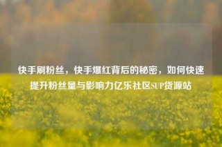 快手刷粉丝，快手爆红背后的秘密，如何快速提升粉丝量与影响力亿乐社区SUP货源站