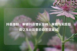 抖音涨粉，解锁抖音增长密码，策略与实践指南亿乐社区低价自营货源站