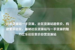 社区货源站一手货源，社区货源站超低价，构建繁荣社区，揭秘社区货源站与一手货源的魅力亿乐社区低价自营货源站