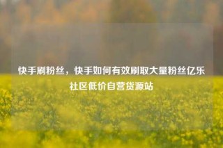 快手刷粉丝，快手如何有效刷取大量粉丝亿乐社区低价自营货源站