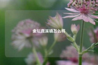 金坛直溪镇怎么样