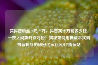 买抖音粉丝10元一万，抖音买十万粉多少钱，一夜之间飙升百万粉！揭秘如何用低成本买到抖音粉丝的秘密亿乐社区SUP货源站