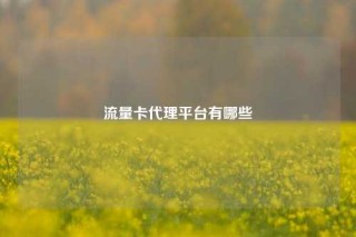 流量卡代理平台有哪些