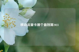 移动流量卡哪个最划算2023