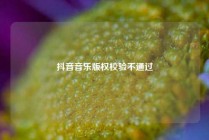 抖音音乐版权校验不通过