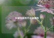 抖音吸粉的方法有哪些
