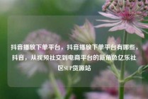 抖音播放下单平台，抖音播放下单平台有哪些，抖音，从视频社交到电商平台的新角色亿乐社区SUP货源站
