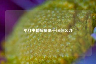 小红书播放量低于100怎么办