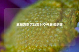 苏州高新区教育时空云教师招聘