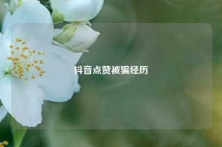 抖音点赞被骗经历