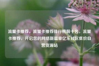 流量卡推荐，流量卡推荐排行榜前十名，流量卡推荐，开启您的网络新篇章亿乐社区低价自营货源站