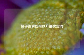 快手没粉丝可以开播卖货吗
