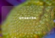 监控流量卡贵吗