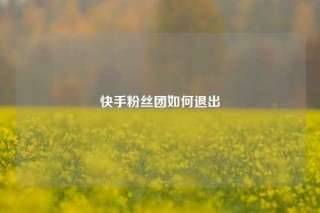 快手粉丝团如何退出