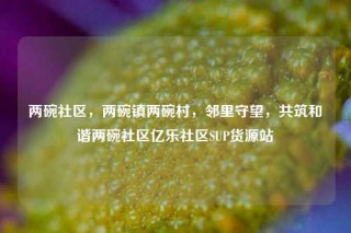 两碗社区，两碗镇两碗村，邻里守望，共筑和谐两碗社区亿乐社区SUP货源站