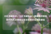 小红书刷粉丝，小红书刷粉丝，揭秘高效吸粉技巧与实战策略亿乐社区低价自营货源站