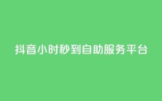 抖音24小时秒到自助服务平台,ks便宜的下单平台 - 抖音评论挣钱是什么套路 - Dy号商购买