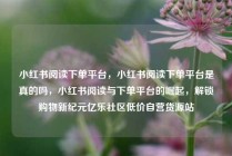 小红书阅读下单平台，小红书阅读下单平台是真的吗，小红书阅读与下单平台的崛起，解锁购物新纪元亿乐社区低价自营货源站