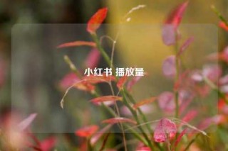 小红书 播放量