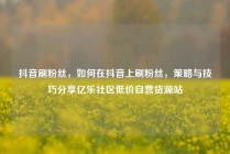 抖音刷粉丝，如何在抖音上刷粉丝，策略与技巧分享亿乐社区低价自营货源站