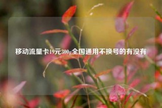 移动流量卡19元300g全国通用不换号的有没有