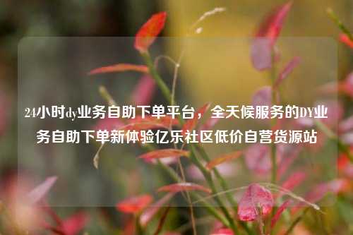 24小时dy业务自助下单平台	，全天候服务的DY业务自助下单新体验亿乐社区低价自营货源站  第1张