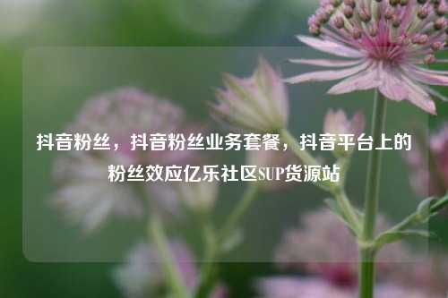 抖音粉丝，抖音粉丝业务套餐	，抖音平台上的粉丝效应亿乐社区SUP货源站  第1张