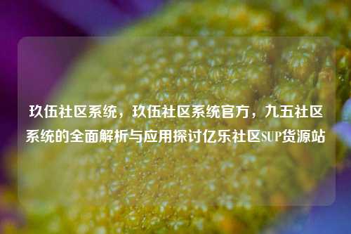 玖伍社区系统，玖伍社区系统官方，九五社区系统的全面解析与应用探讨亿乐社区SUP货源站  第1张