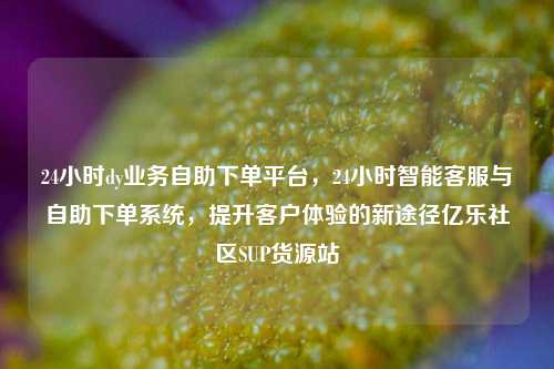 24小时dy业务自助下单平台	，24小时智能客服与自助下单系统，提升客户体验的新途径亿乐社区SUP货源站  第1张