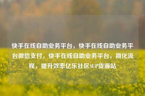 快手在线自助业务平台，快手在线自助业务平台微信支付	，快手在线自助业务平台，简化流程，提升效率亿乐社区SUP货源站  第1张