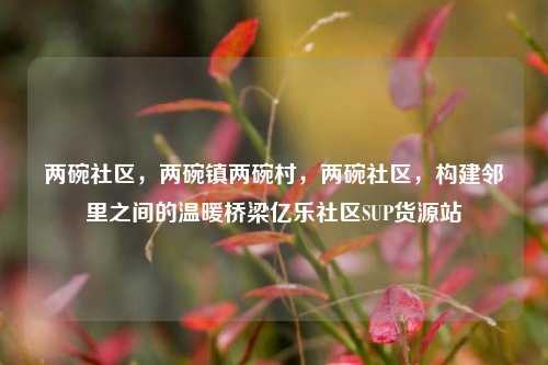 两碗社区，两碗镇两碗村，两碗社区，构建邻里之间的温暖桥梁亿乐社区SUP货源站  第1张