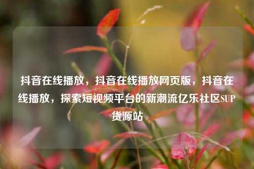 抖音在线播放，抖音在线播放网页版，抖音在线播放	，探索短视频平台的新潮流亿乐社区SUP货源站  第1张