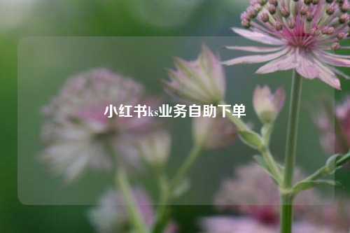 小红书ks业务自助下单  第1张