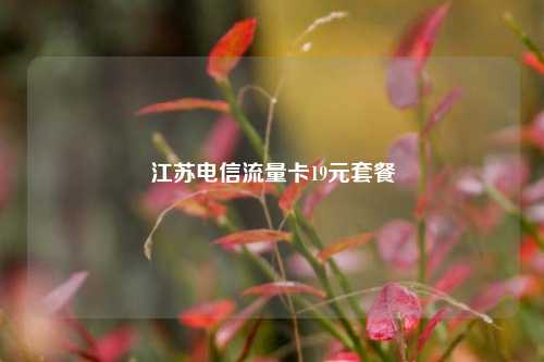 江苏电信流量卡19元套餐  第1张