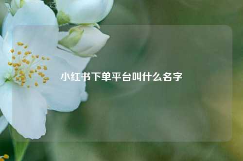 小红书下单平台叫什么名字  第1张