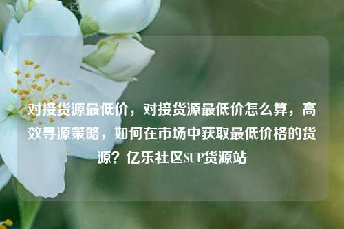对接货源最低价，对接货源最低价怎么算	，高效寻源策略，如何在市场中获取最低价格的货源？亿乐社区SUP货源站  第1张