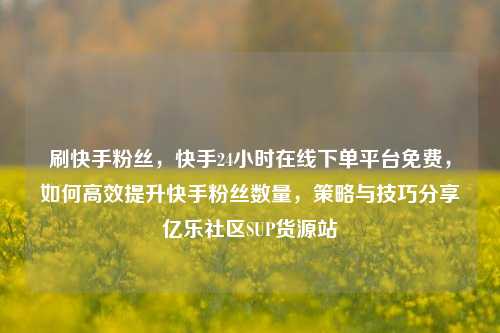 刷快手粉丝	，快手24小时在线下单平台免费，如何高效提升快手粉丝数量，策略与技巧分享亿乐社区SUP货源站  第1张