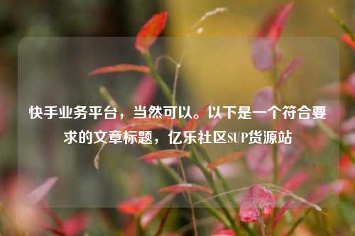 快手业务平台，当然可以。以下是一个符合要求的文章标题	，亿乐社区SUP货源站  第1张