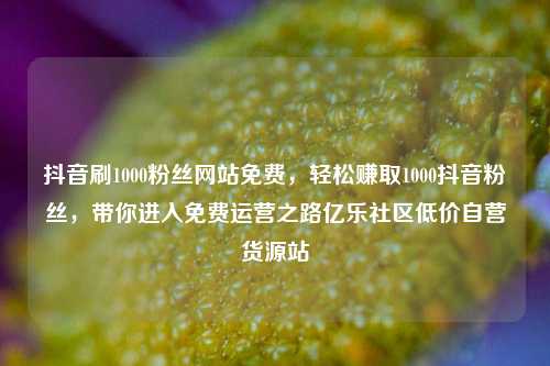 抖音刷1000粉丝网站免费，轻松赚取1000抖音粉丝，带你进入免费运营之路亿乐社区低价自营货源站  第1张