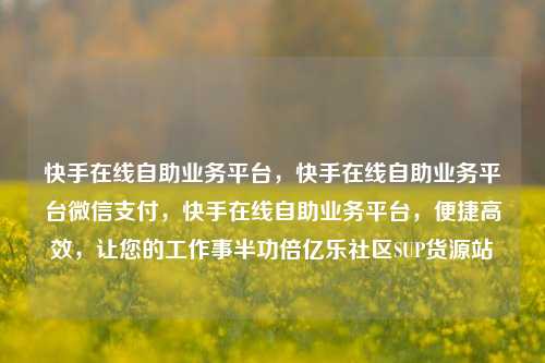 快手在线自助业务平台，快手在线自助业务平台微信支付，快手在线自助业务平台	，便捷高效，让您的工作事半功倍亿乐社区SUP货源站  第1张