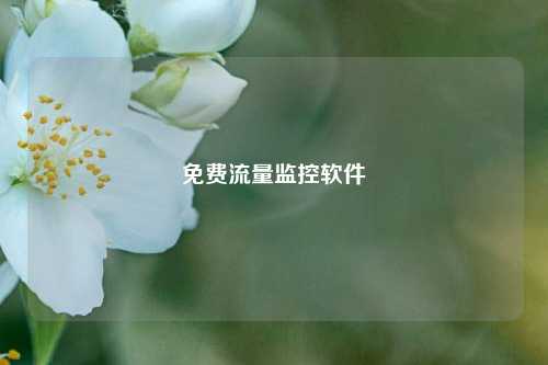 免费流量监控软件  第1张