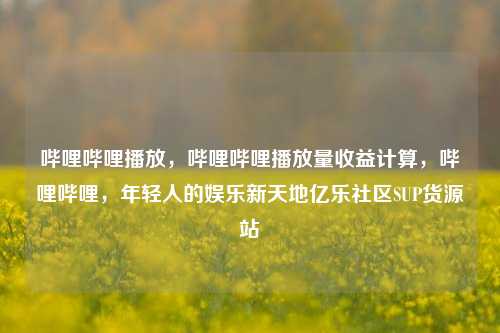 哔哩哔哩播放，哔哩哔哩播放量收益计算	，哔哩哔哩，年轻人的娱乐新天地亿乐社区SUP货源站  第1张
