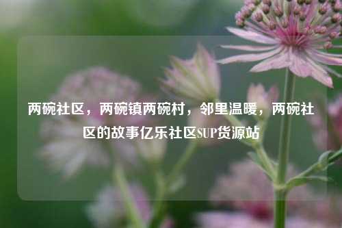 两碗社区，两碗镇两碗村	，邻里温暖，两碗社区的故事亿乐社区SUP货源站  第1张