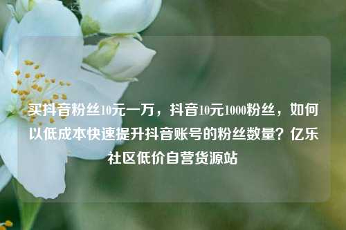 买抖音粉丝10元一万，抖音10元1000粉丝	，如何以低成本快速提升抖音账号的粉丝数量？亿乐社区低价自营货源站  第1张