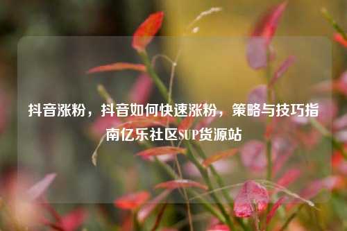 抖音涨粉，抖音如何快速涨粉，策略与技巧指南亿乐社区SUP货源站  第1张